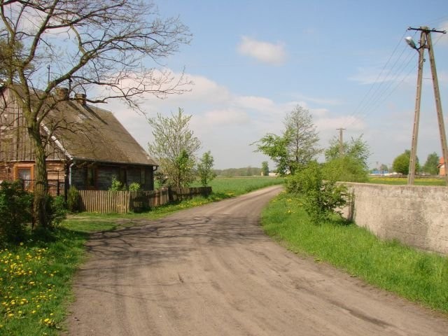 BEZPOŚREDNIO GUTKOWO SIEDLISKOWA 5000m2 — zdjęcie 1