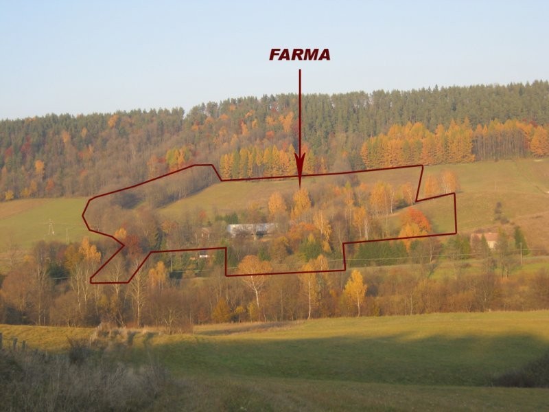 BIESZCZADY Piękna posiadłość Rabe — zdjęcie 1