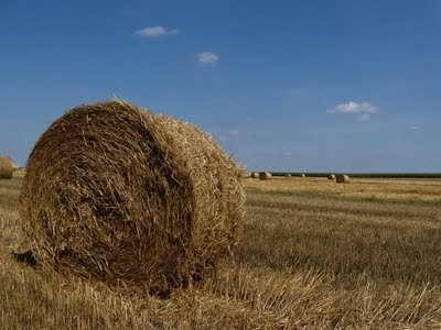 Sprzedam słomę żytnią w balotach ze stodoły