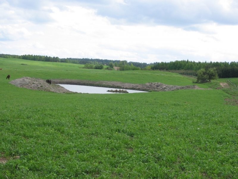Gospodarstwo rolne 30,5ha — zdjęcie 3