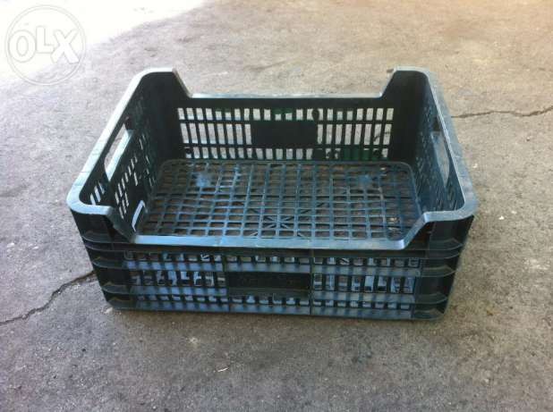 KUPIĘ każdą ilość skrzynek 5kg CASI — zdjęcie 2