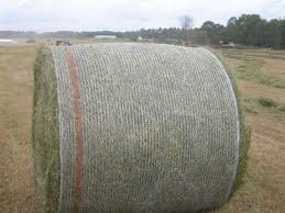 HAY - GRASS - ALFALFA — zdjęcie 4