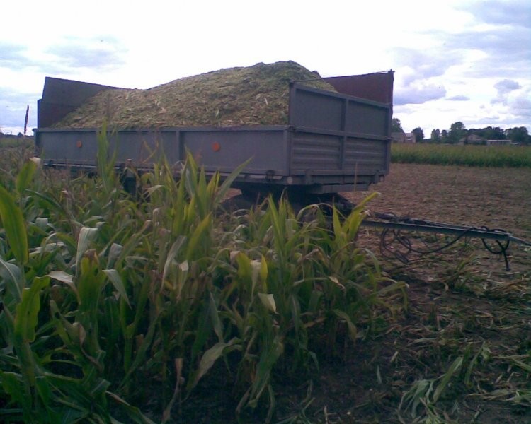 HL 6011