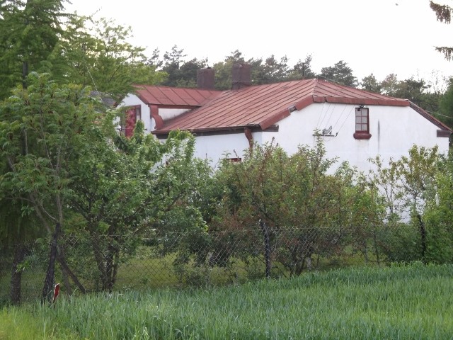 Gospodarstwo rolne o pow. 14,96 ha wraz z zabudowaniami — zdjęcie 5