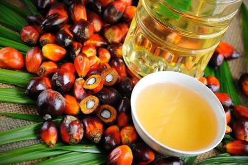 Refined Palm Oil From Malaysia for Sale — zdjęcie 3