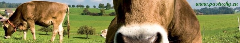 Elektryzatory, ogrodzenia dla zwierząt, pastuchy — zdjęcie 3