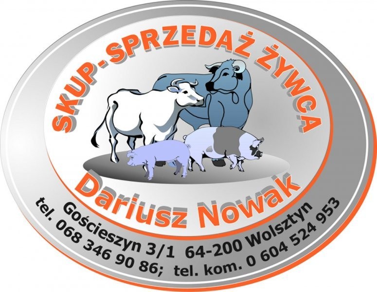 IMPORT WARCHLAKÓW