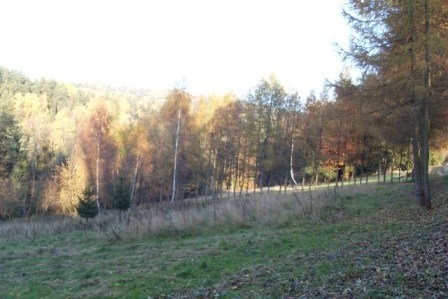 Naprawa 42ar działka (budowlana) — zdjęcie 2