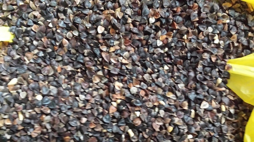 Sprzedam gryke