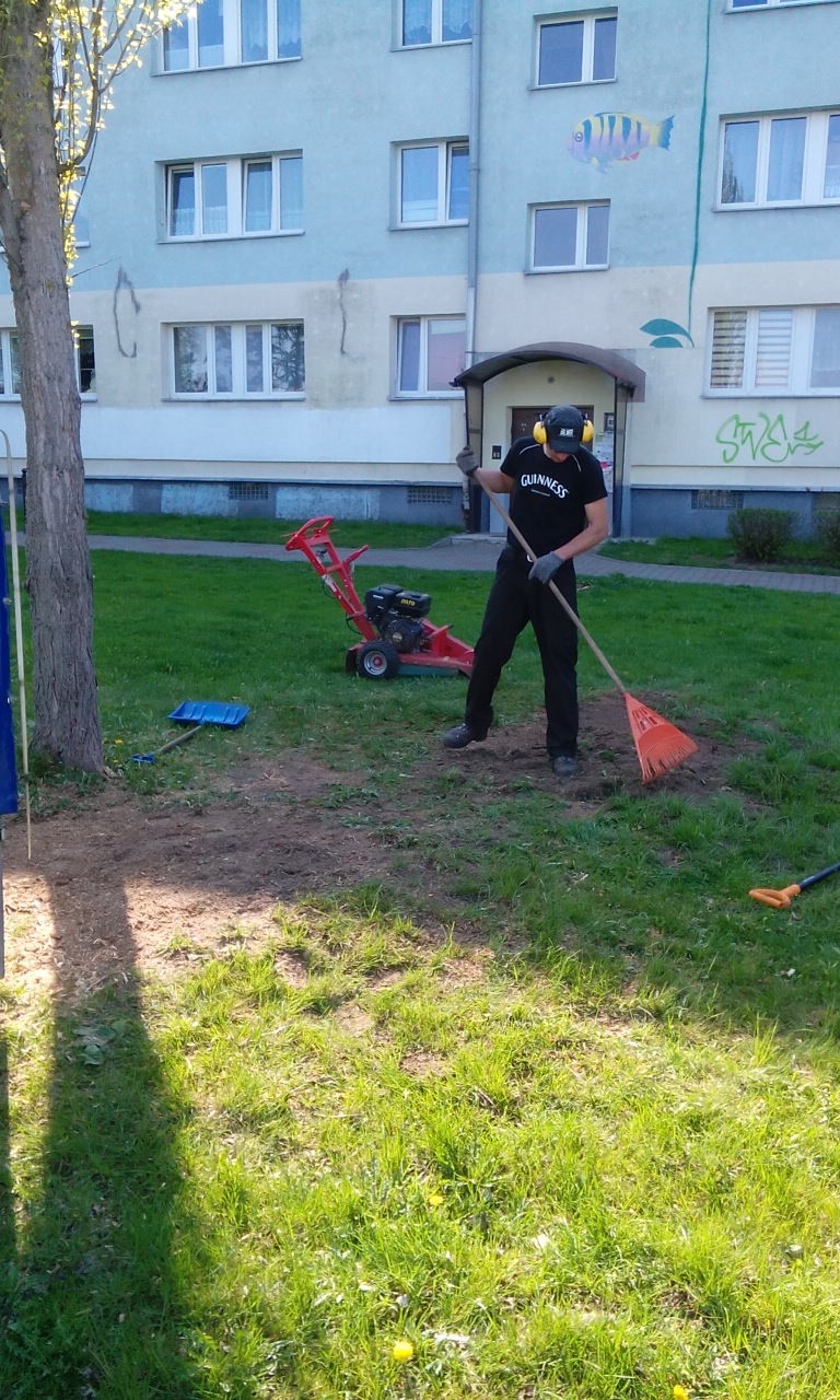 Karczowanie pni, karpy, wyrywanie, Wycinanie Drzew F-Vat — zdjęcie 2