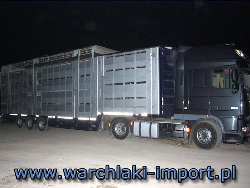 IMPORT WARCHLAKÓW DUŃSKICH I NIEMIECKICH — zdjęcie 2