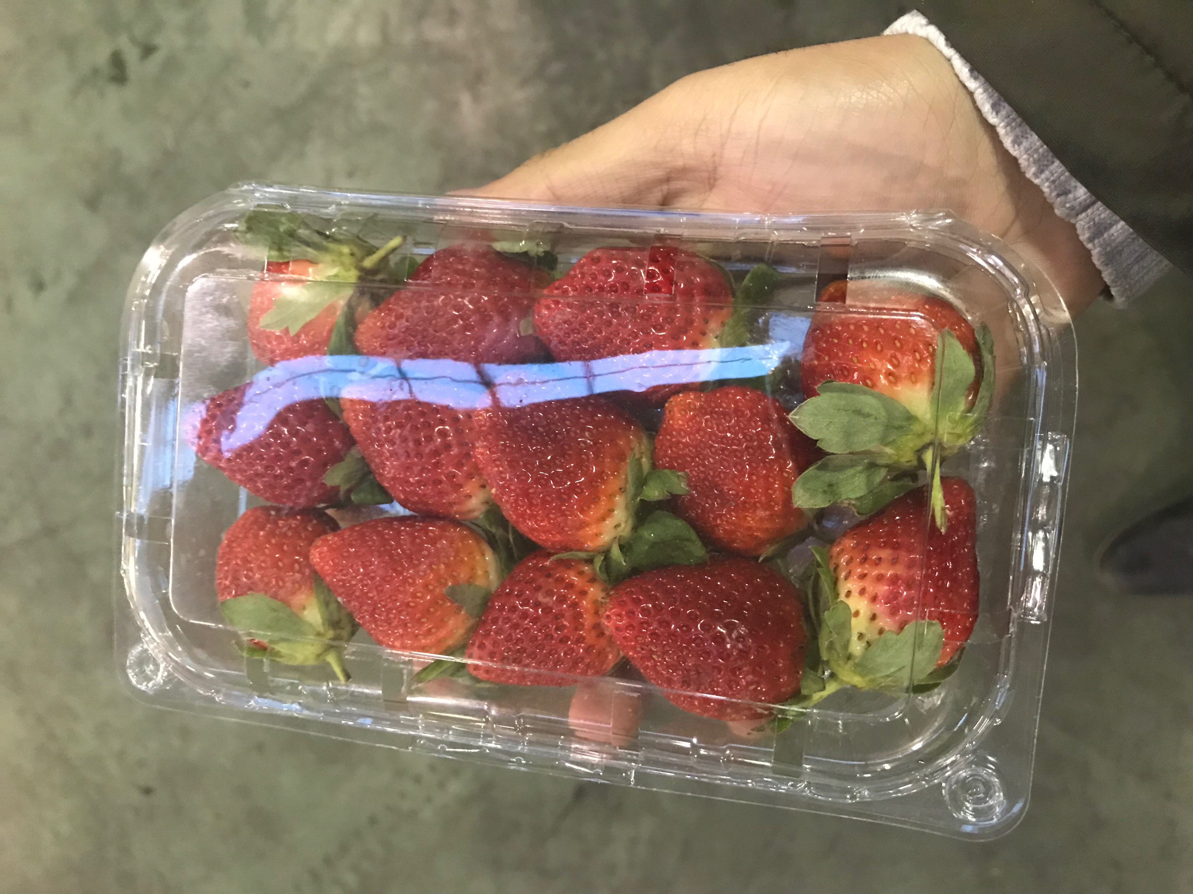 sprzedam truskawki duze ilosci — zdjęcie 2