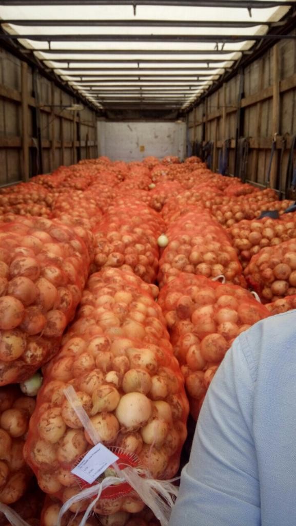 Import Cebula uzbekistanu — zdjęcie 4