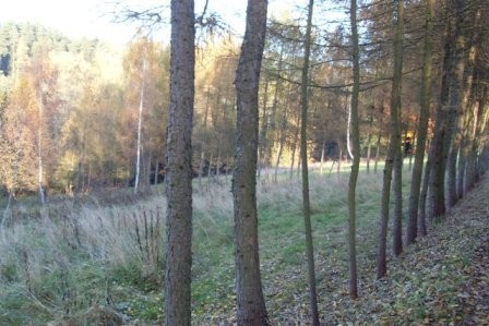Naprawa 42ar działka (budowlana) — zdjęcie 1