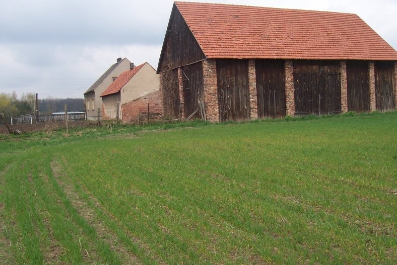 Sprzedam dom zabudowania gospodarcze 331 m2 — zdjęcie 3
