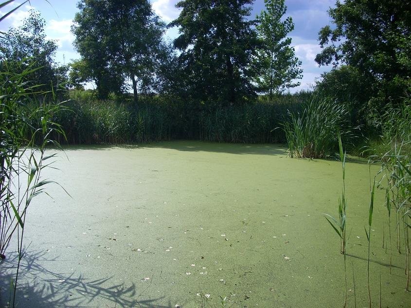 gospodarstwo rolne sprzedam — zdjęcie 4