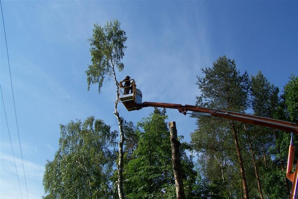 Porządkowanie terenu pod inwestycje ŚCINKA DRZEW r