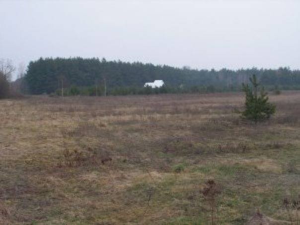 Działeczka na skraju lasu podlasie — zdjęcie 2