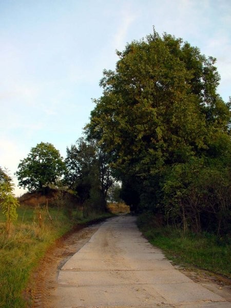 działka siedliskowa koło Gdańska — zdjęcie 5