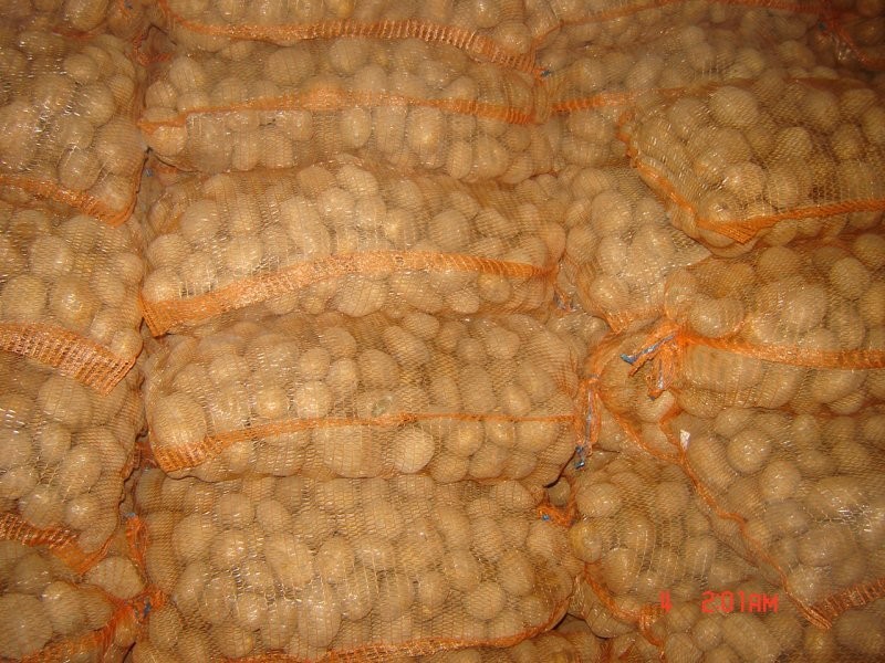 sprzedam ziemniaki — zdjęcie 2