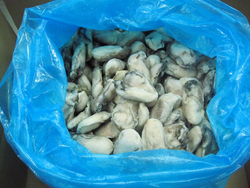 Oyster sea food, mięso Oyster, Oyster Shell, Fresh Oyster, Frozen Osyt