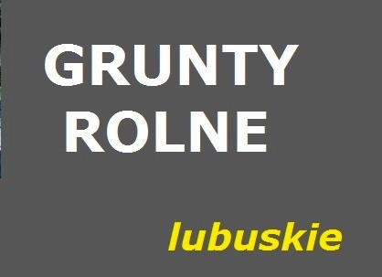 Sp z oo z 440 ha gruntów rolnych sprzedamy