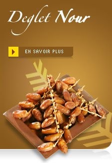 daktyle "DEGLET NOUR" prosto z Tunezji — zdjęcie 2