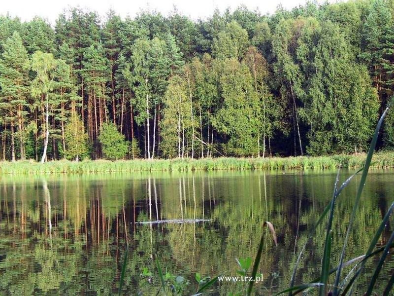 Rybactwo środlądowe - może pora zmienić zawód?