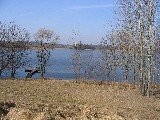 Działka rekreacyjna nad jeziorem — zdjęcie 1