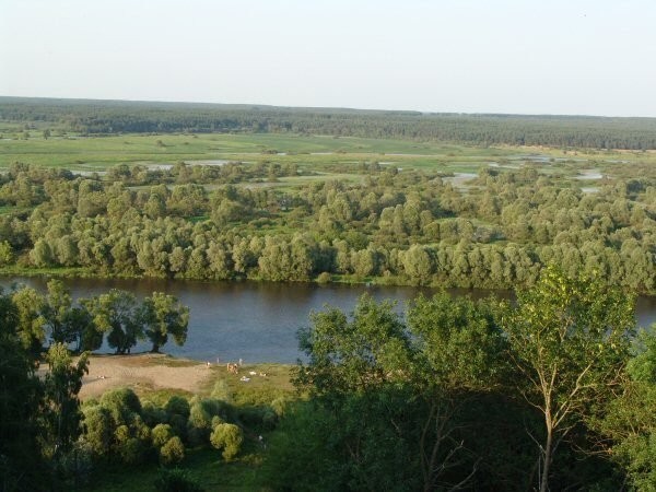 UkrainaGospodarstwa i grunty rolneSprzedaz,wynajem — zdjęcie 2