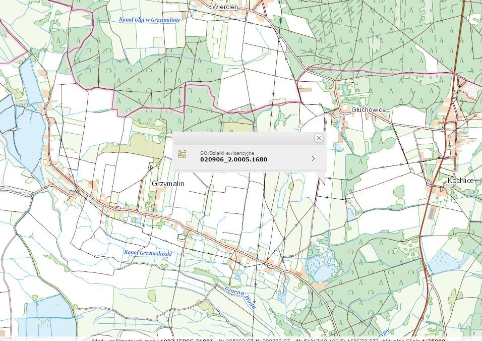 Do sprzedaży grunt rolny o pow. 14,2 ha. Głuchowice. — zdjęcie 2