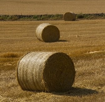 PRACA: obsługa maszyn rolniczych (dolnośląskie)