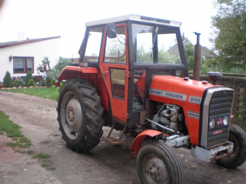 MF 255  1 właściciel stan bdb Massey Ferguson — zdjęcie 1