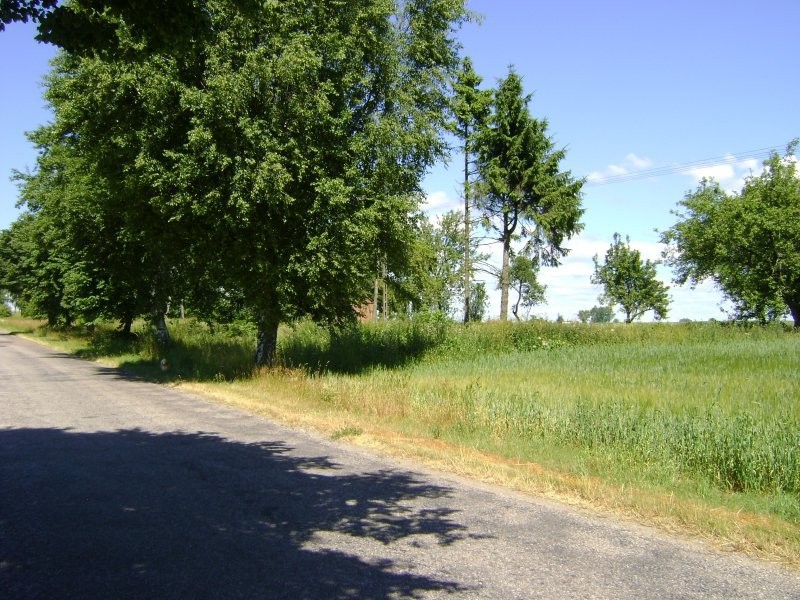 Działka 3000m okolice Chojnic w Pomorskim — zdjęcie 3