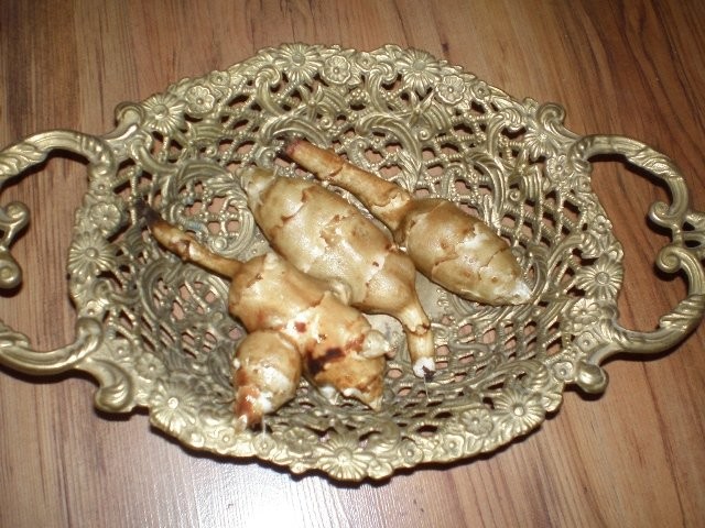 TOPINAMBUR SŁONECZNIK  BULWIASTY