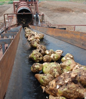  Ukraina.Wspolpraca.Produkcja pasz przemyslowych.Wyslodki buraczane 