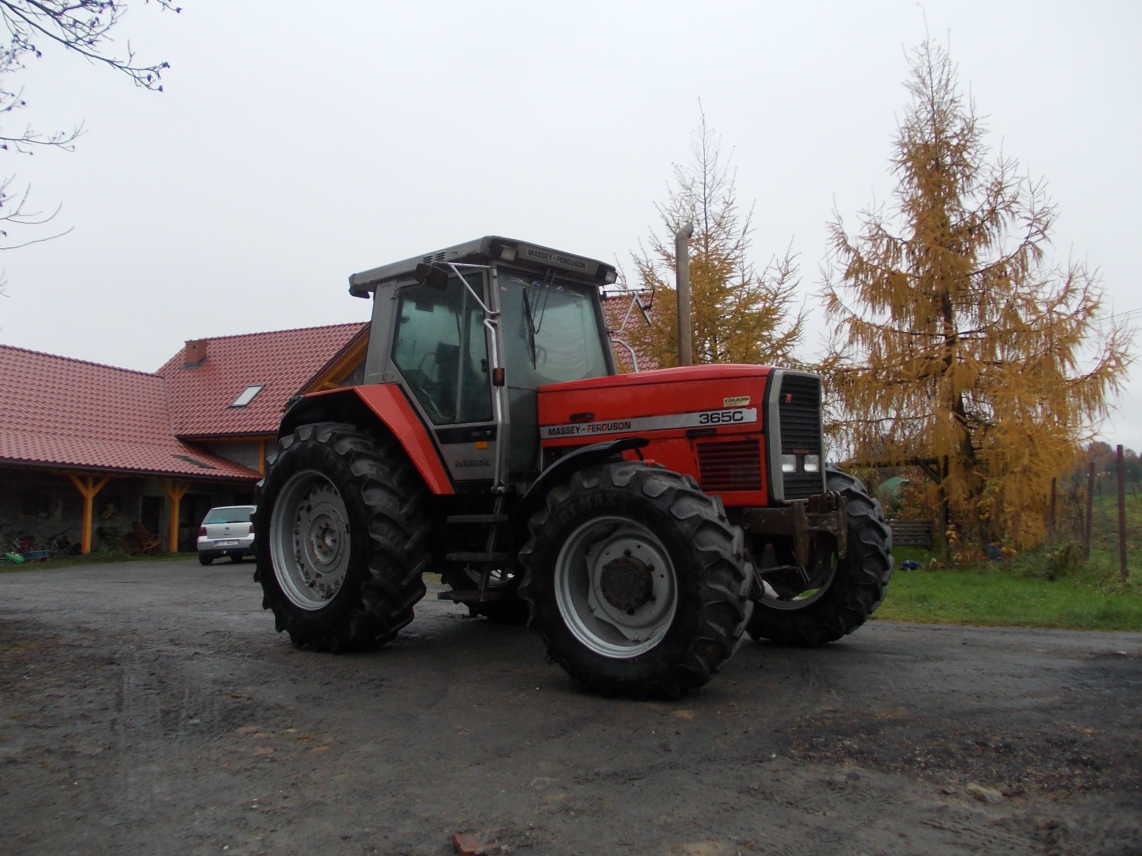 Massey Ferguson 3650 - 1989