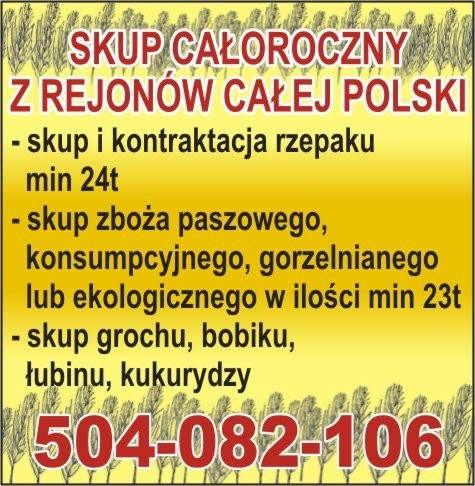 kupię jęczmień, pszenżyto, owies