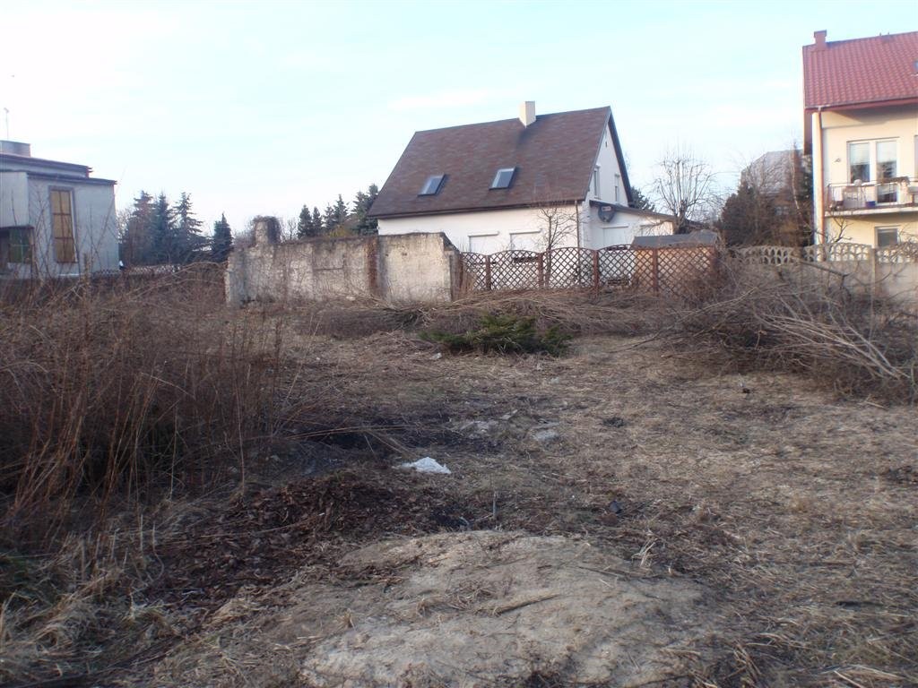 Czyszczenie zaniedbanych działek Wycinka drzew, ro — zdjęcie 1