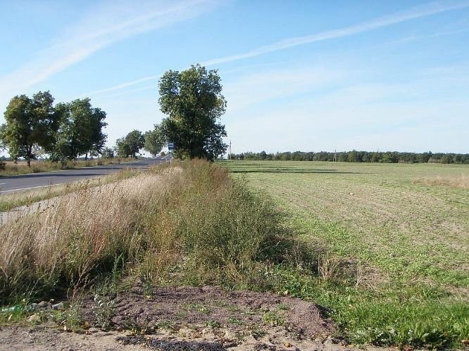 Sprzedam działkę komercyjną  w okolicach Sierpca — zdjęcie 3