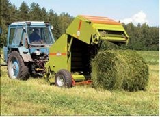 Ukraina.Grunty rolne.Biomasa zbozowa,rzepakowa itp — zdjęcie 1