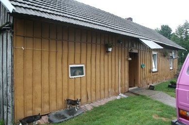 Wydzierżawię działkę 8ha w Podlesiu Machowskim — zdjęcie 1