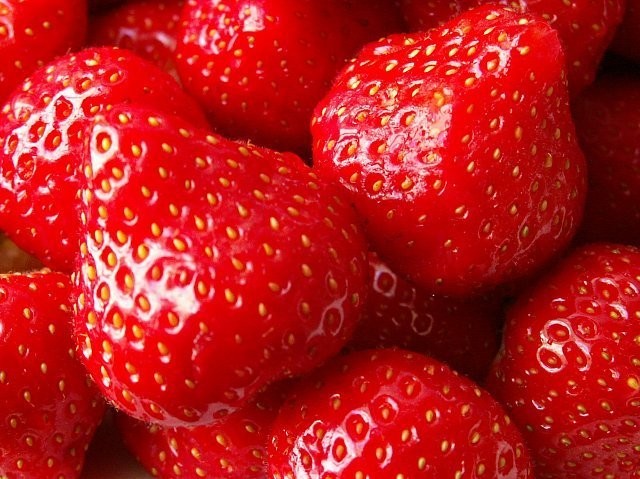 OBORNIK GRANULOWANY FERTIPLUS worki 25 kg — zdjęcie 3