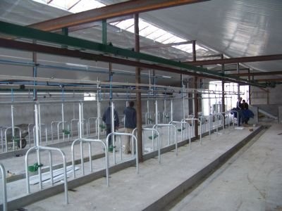 LINOWY  zgarniacze obornika i gnojowicy! — zdjęcie 3