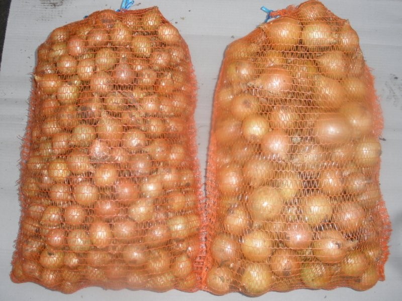 cebula sortowana