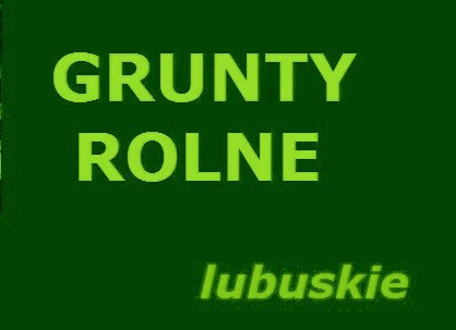 Grunty orne ( łąki ) kupię / wydzierżawie
