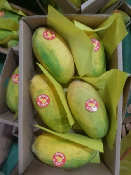 Mango sprzedam