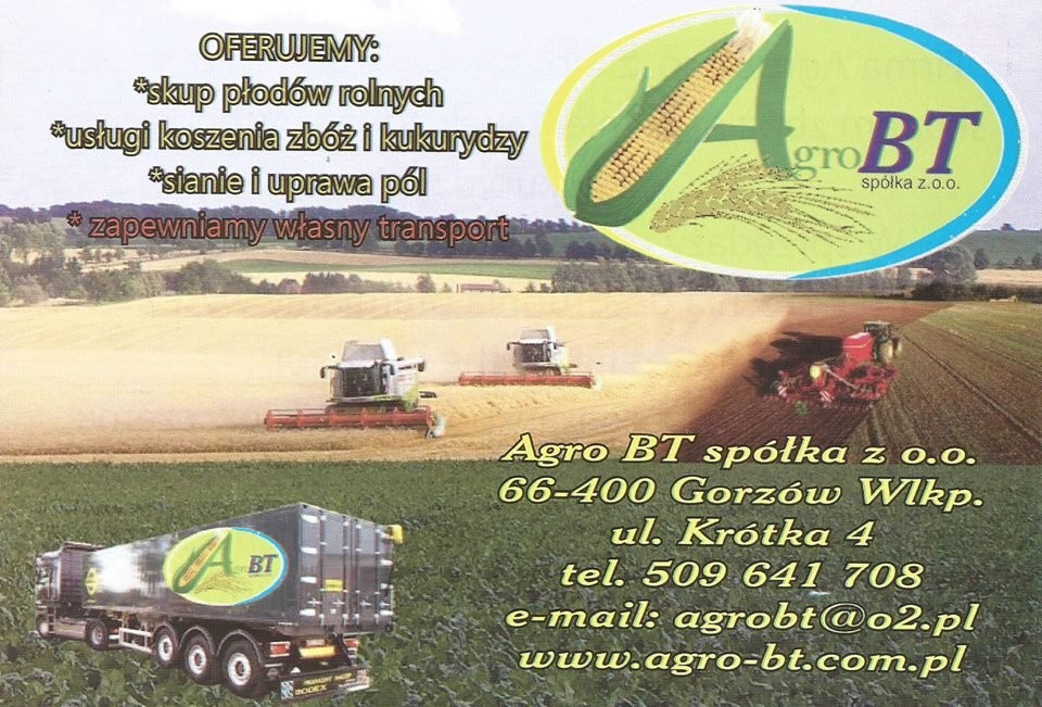Kupię kukurydzę mokrą
