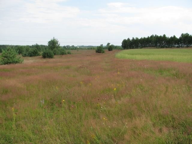żwirownia-kopalnia żwiru — zdjęcie 6