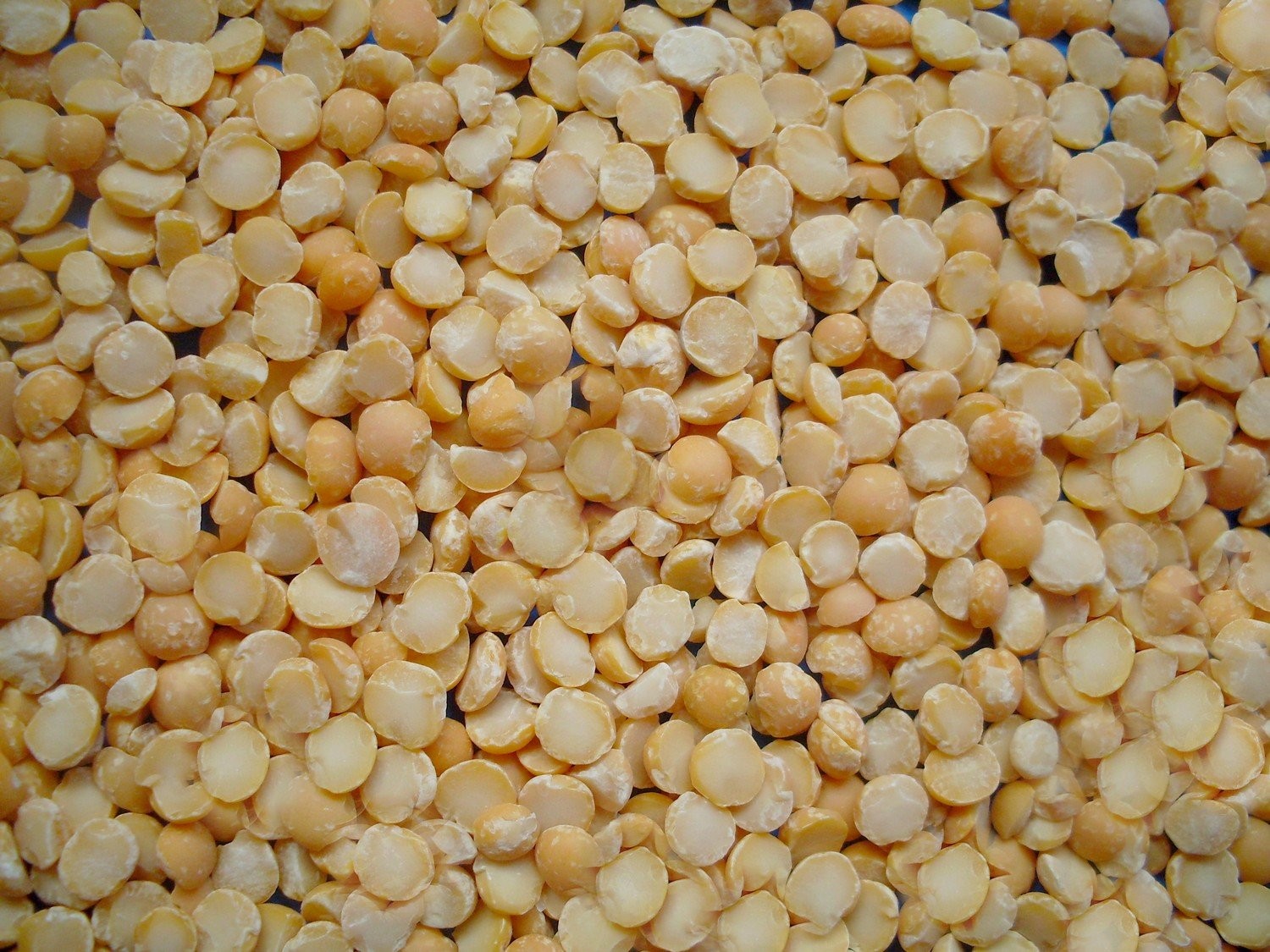 SPRZEDAM GROCH POŁÓWKI op. 25kg, 5kg i 1 kg